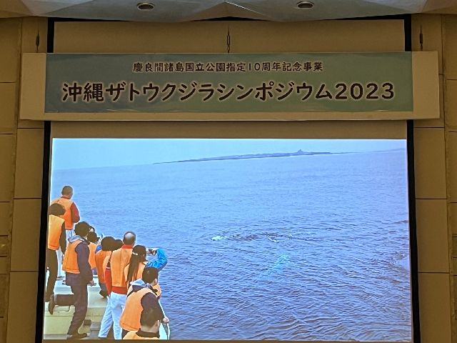 23/12/03　平井 大さん・・・ではなかった。　沖縄本島