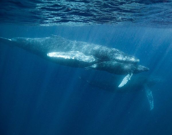 23/12/28　あと35日。　沖縄本島
