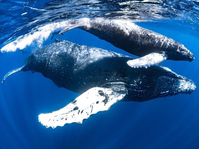 24/02/20　キャンペーンやイベントや空き状況のお知らせなどなど　沖縄本島