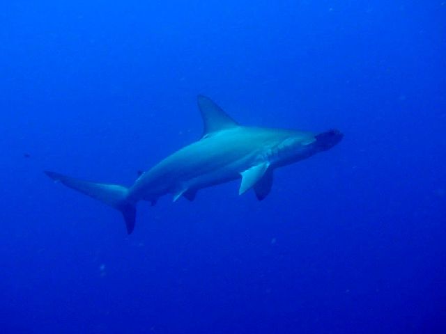 24/06/11　久米島ツアー　沖縄本島