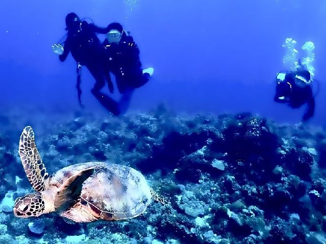 24/07/08　毎日、夏日ですねー。熱中症にお気を付けください！　那覇シーサイドパーク、慶良間