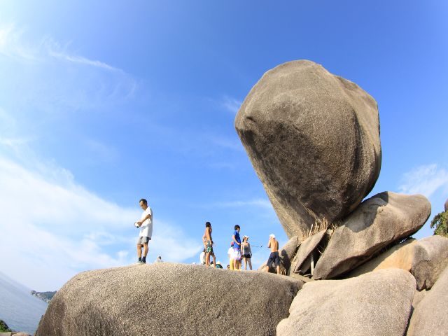 2407126.JPG