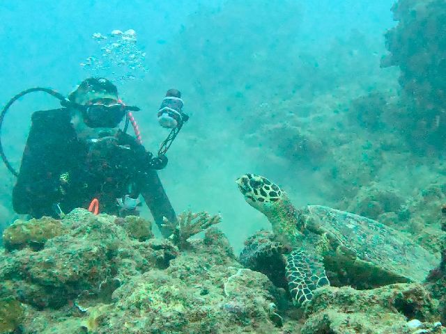 24/10/31　色々と代わる代わるの結果　沖縄本島