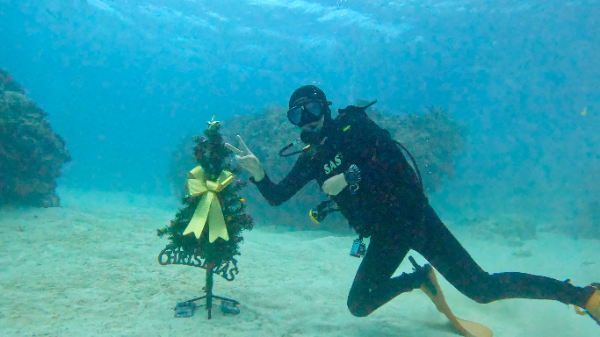 24/12/12  いつもの１２月に戻りました。　慶良間、チービシ諸島