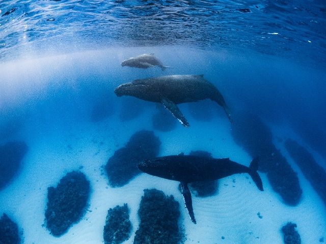 24/12/13　本日、最高気温23℃！　沖縄本島
