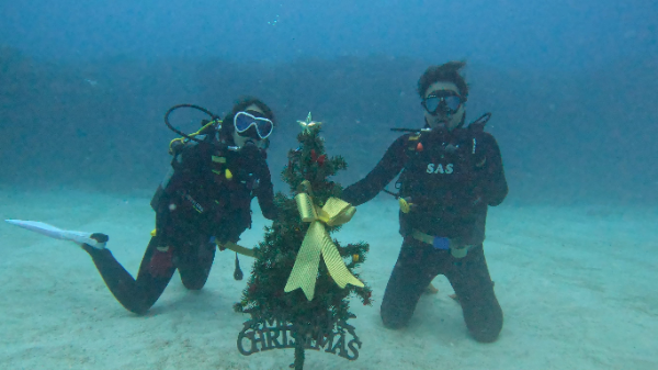 24/12/14　しびれる気温になってきました。　慶良間、チービシ諸島