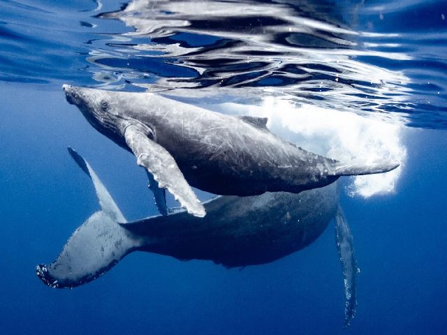 24/12/27　今年もあと4日。　沖縄本島