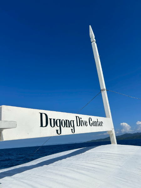 250409 diving.png