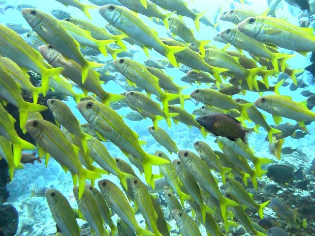 25/04/18　春の嵐再来・・・＿|￣|○　慶良間、チービシ