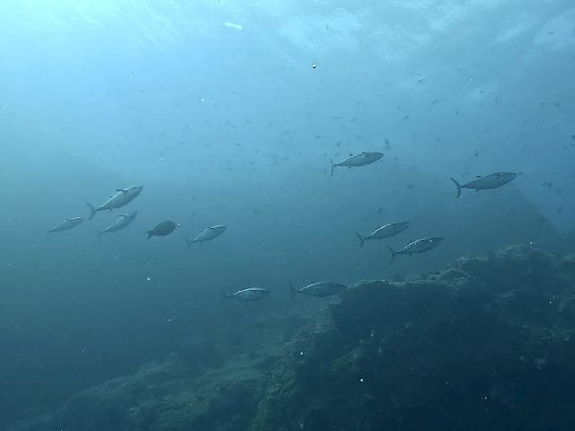 250523.jpg
