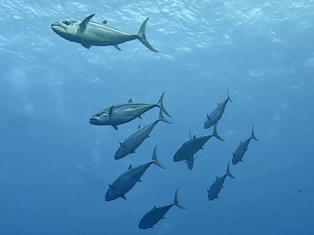 250524.jpg