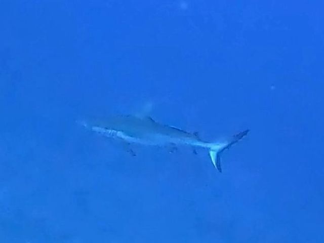 250610.jpg