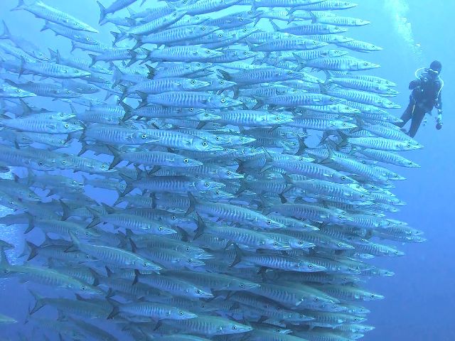 2025年　沖縄本島最強ポイント「トライアングル」へ挑戦！~夏の陣~