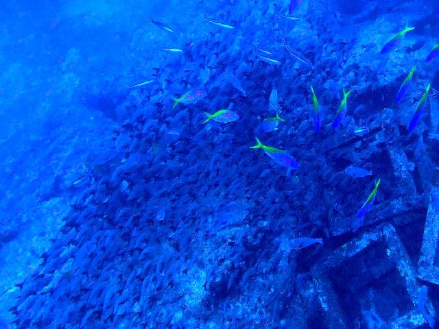 25/07/01　7月スタート！！　沖縄本島