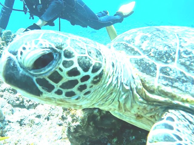 25/07/22　おっとまた熱低が下にありますね。　慶良間