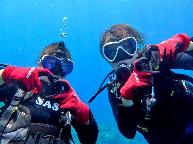 25/08/16　水面マンタが良い感じで見れているので・・・　慶良間