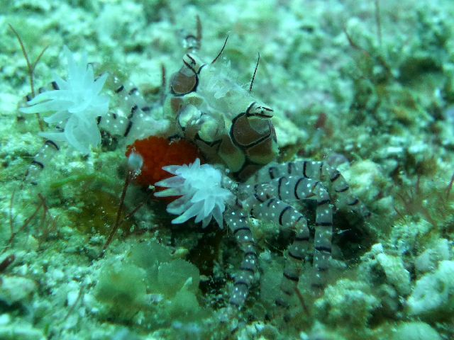 25/12/21　思いのほか・・・寒くない。　チービシ