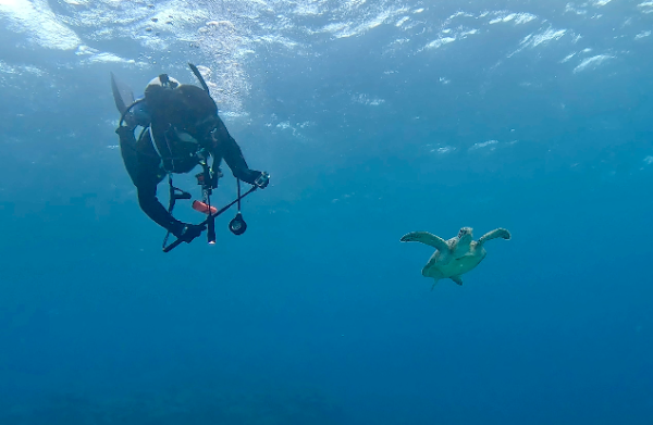 26/01/19　ポカポカ陽気の中、クジラのブローを横目に。　チービシ諸島