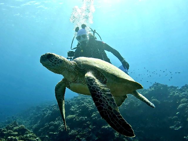 26/02/10　穏やかで暖かいって幸せ　チービシ