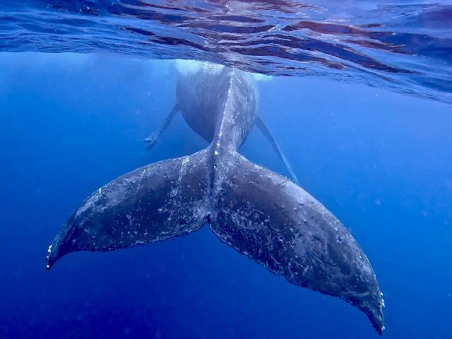 26/02/21　好調続き！！　ホエールスイム