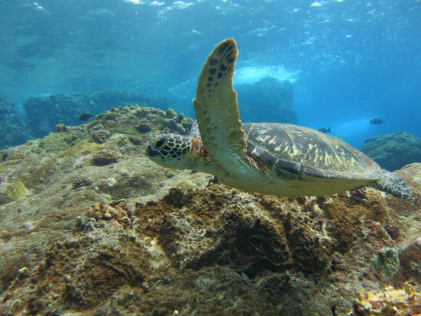 26/03/03　北西の風、強し。　チービシ諸島