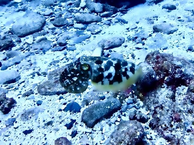 26/03/30　南風が強い。　慶良間