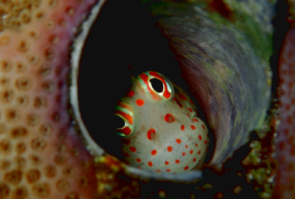 26/03/31 　前線通過のパワーが強烈でした。