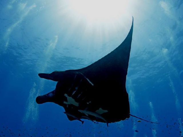 平日・久米島ツアー！！