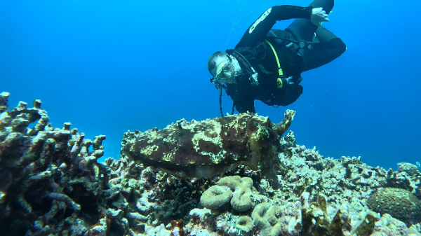 26/04/13   夏のような日差しでした。　慶良間、沖縄本島