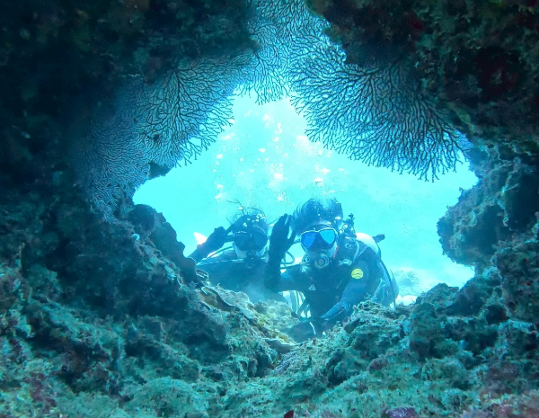 26/04/15　もうTシャツで大丈夫！　　チービシ諸島、沖縄本島