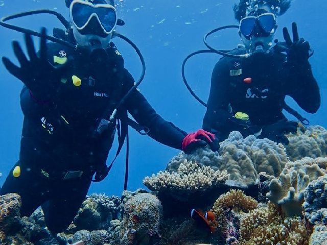 2/04/24　ちょっとっ季節が戻りました。　チービシ