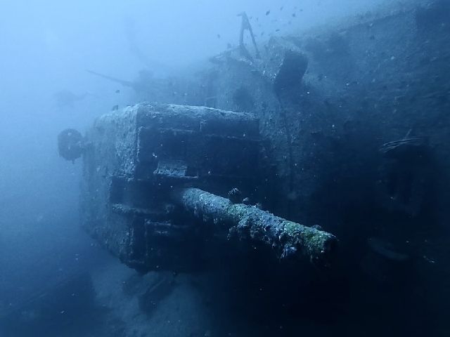 2606202.jpg