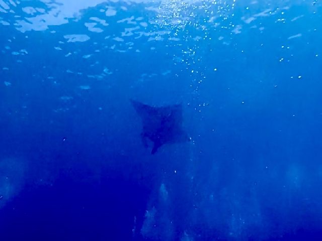 260706.jpg