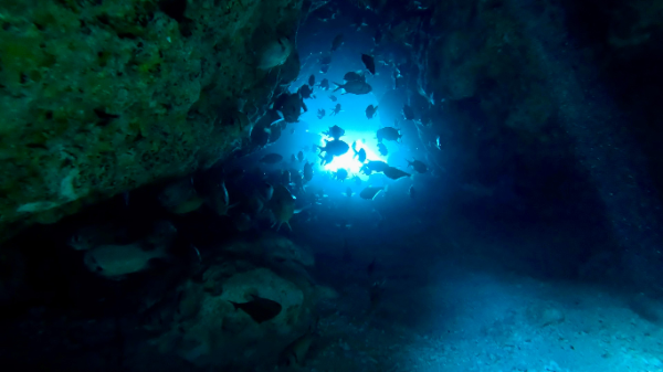 260801 cave.png