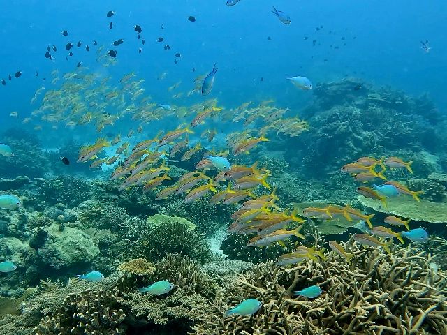 26/09/05　こんな天気図なら色々あります。　チービシ