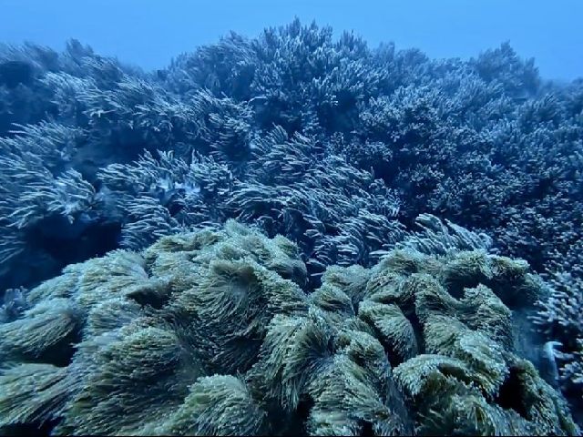 26/09/06　ミステリーツアー　沖縄本島