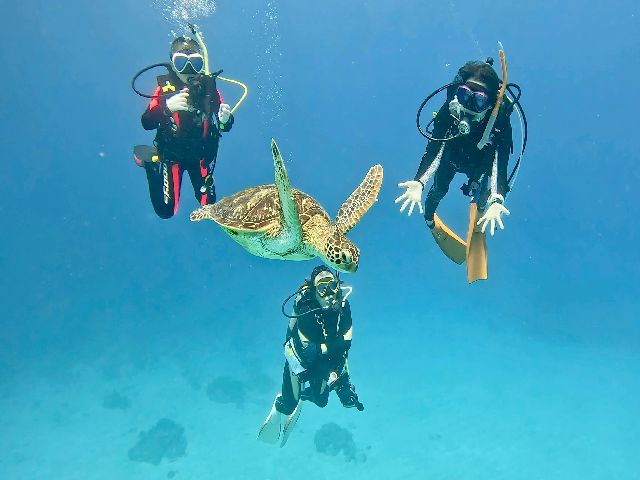 26/09/21　連休っぽくなってきました♪　慶良間
