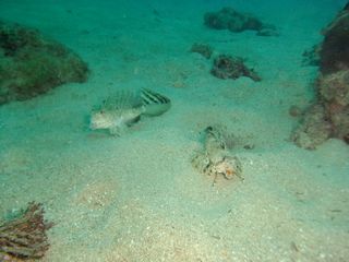 DSCF0660.JPG