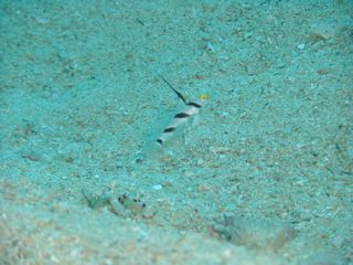 DSCF1562.JPG