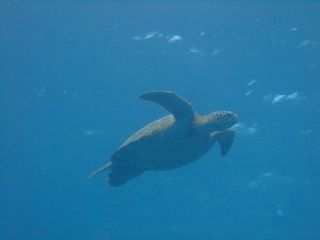 DSCF3732.JPG