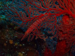 DSCF5137.JPG