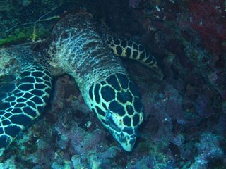 IMG_1642.JPG