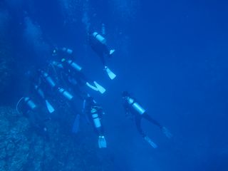 IMG_4256.JPG