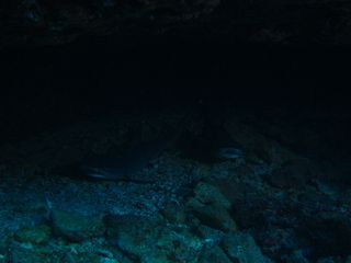 IMG_4687.JPG