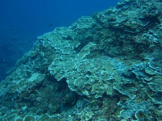 IMG_5309.JPG