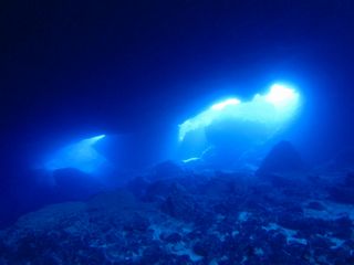 IMG_6590.JPG