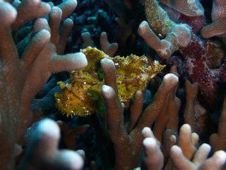 P1000317.JPG