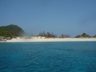 P1010448.JPG
