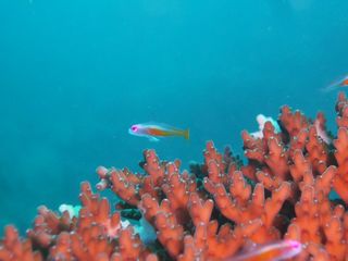 P1070431.JPG