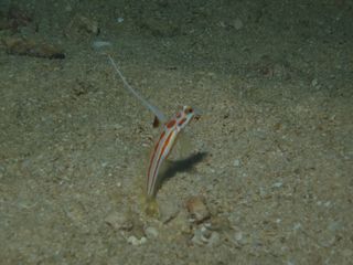 PA083609.JPG